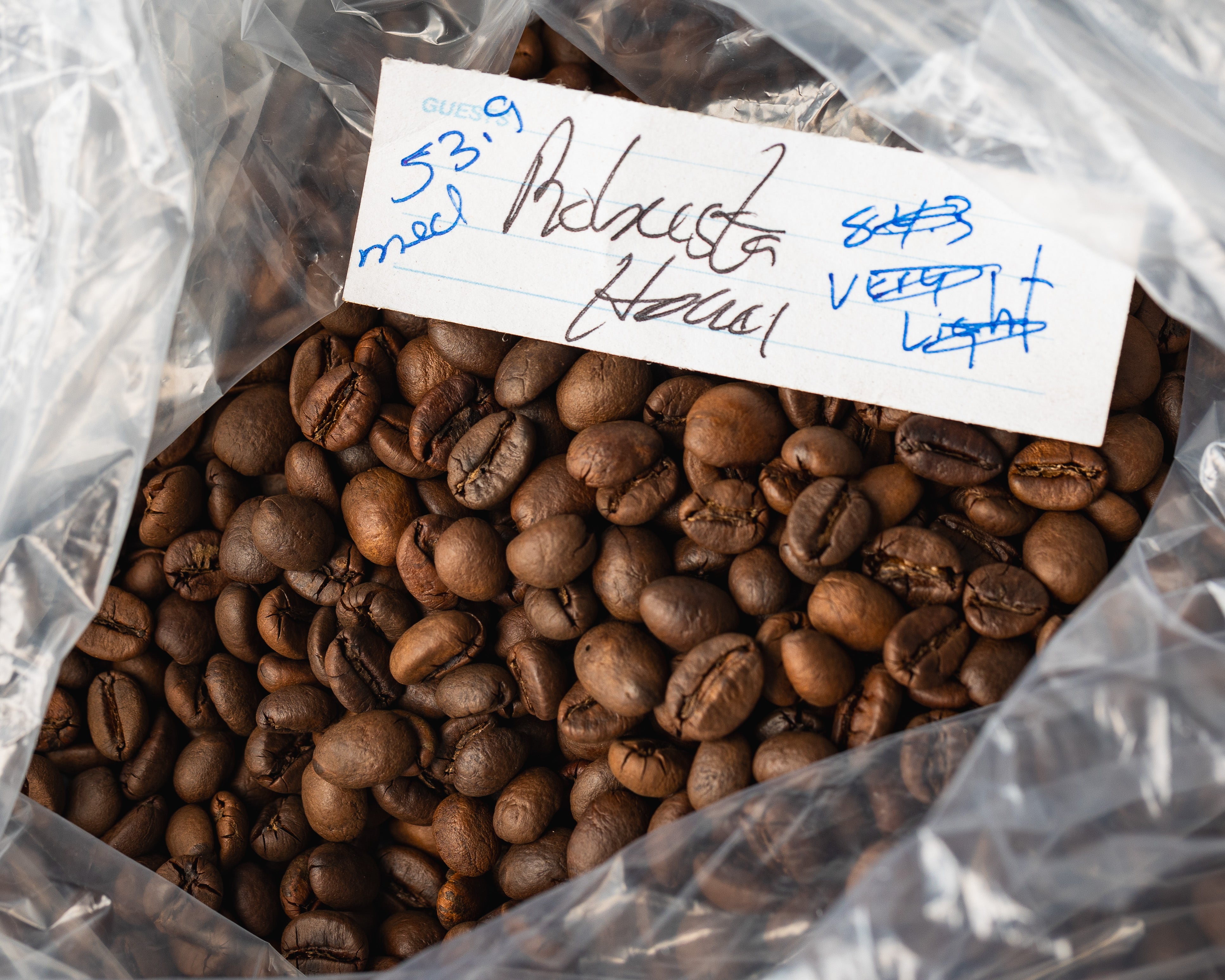 Papamin Robusta - Honey Process (Limited Edition)