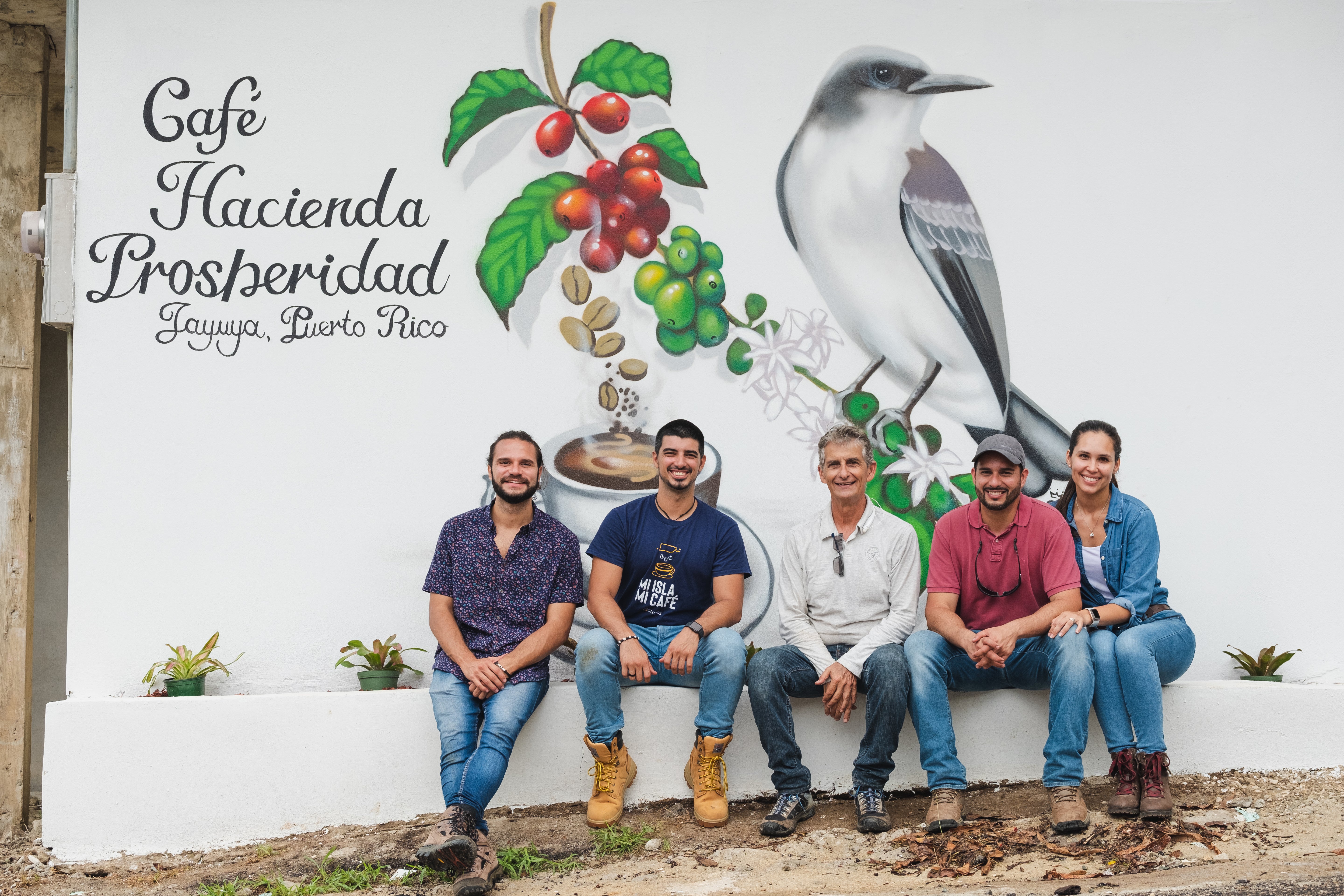 Café Hacienda Prosperidad "Caracolillo"