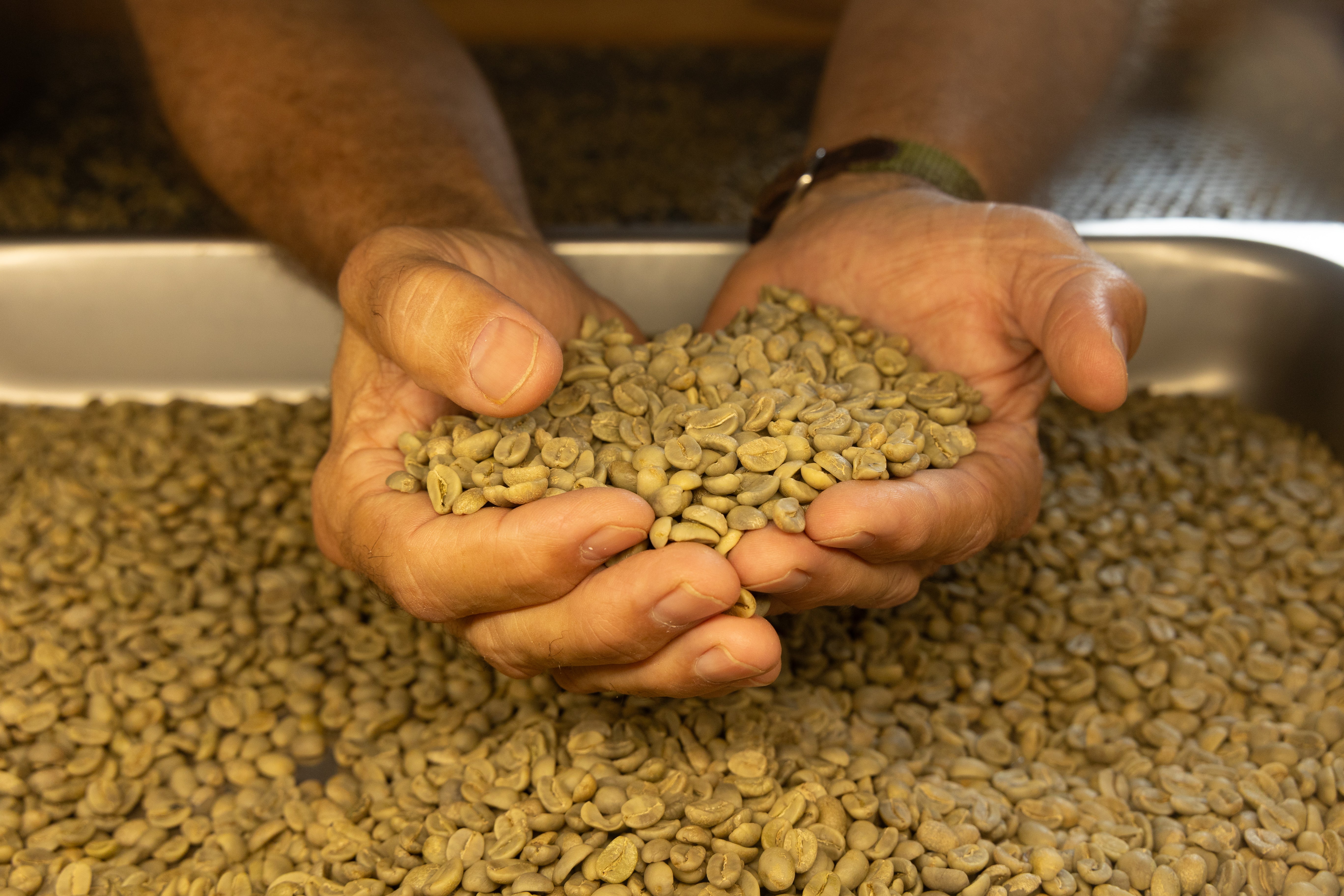 The Coffee of the Month / Café del mes Subscription