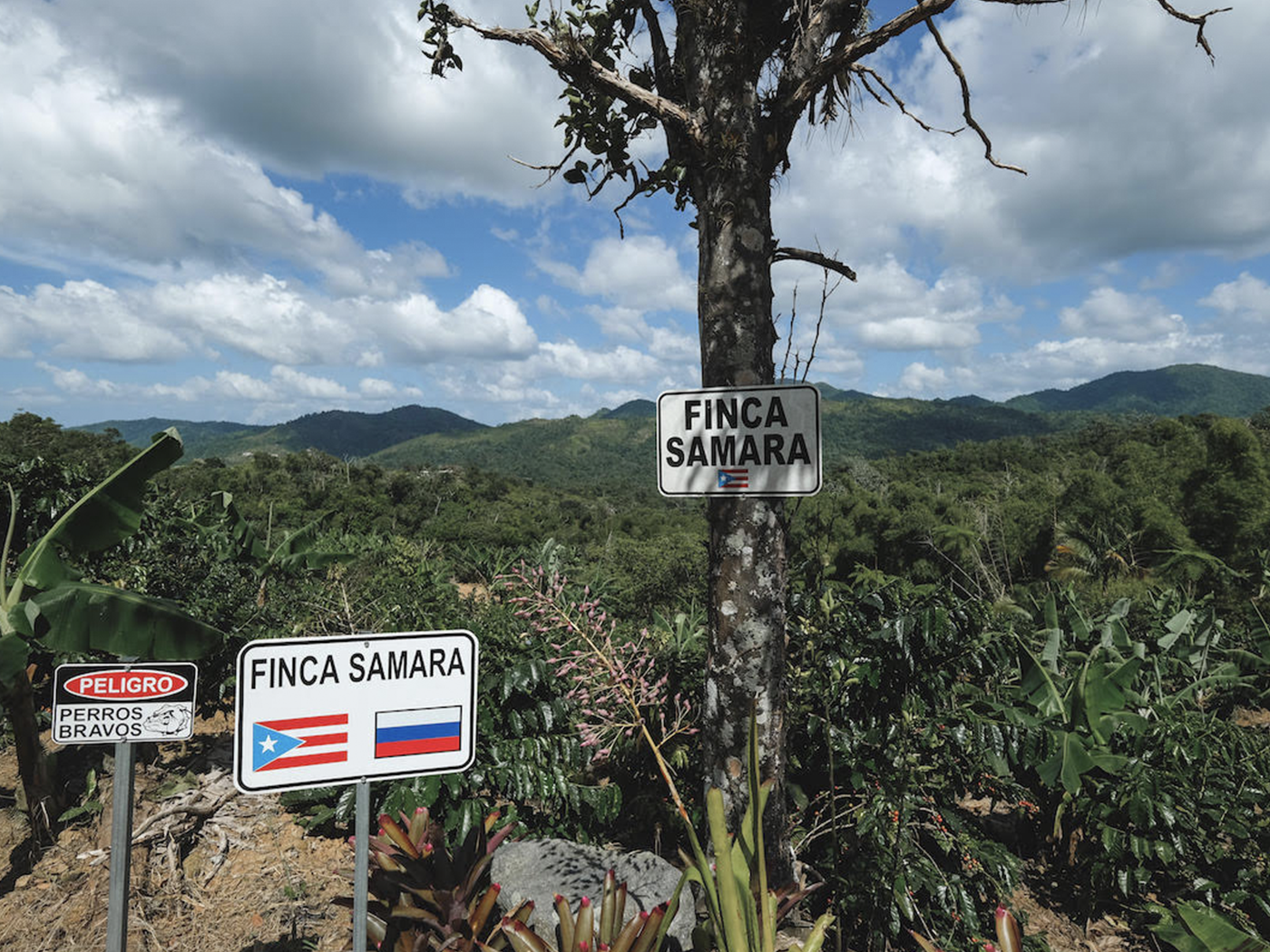 A Small Farm Full of Specialty Coffee